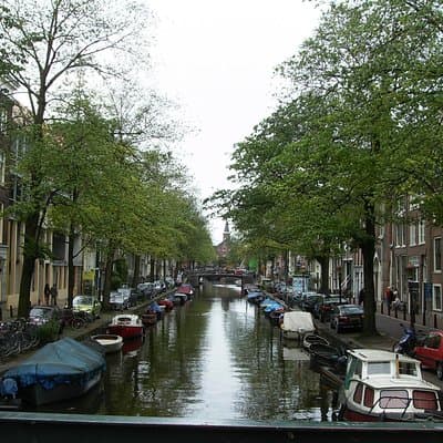 2 Hours Private Walking Tour of the Highlights of Amsterdam 2
