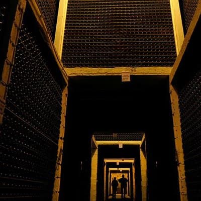 Champagne Private VIP Day from Paris: 8 Tastings & Michelin Lunch 5