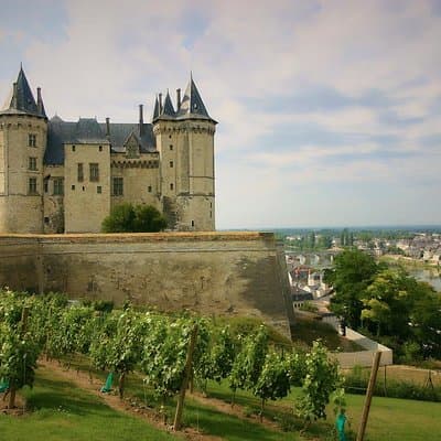 Loire VIP Wine Day from Paris: Castle, 6 Tastings& Michelin Lunch 5
