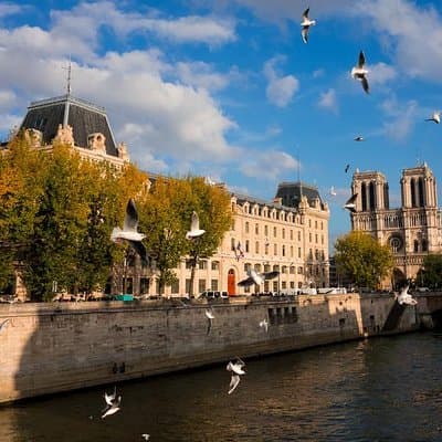 Notre Dame and Central Paris Private Tour 3