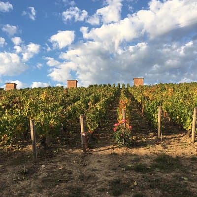 Champagne & Loire Valley Small Group Double Wine Day Tours 4