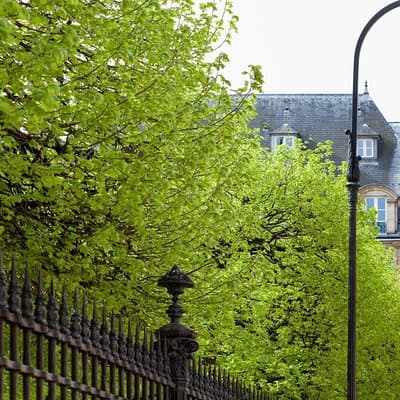 Marais semi private walking tour