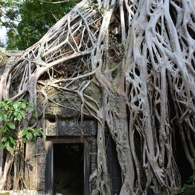 4 Days Expedition From Bangkok to Angkor Wat 4