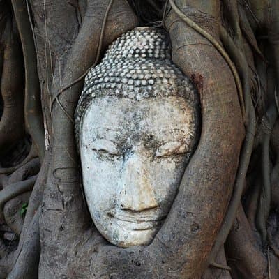 Private Tour from Laem Cha Bang Port to Ayutthaya World Heritage 5