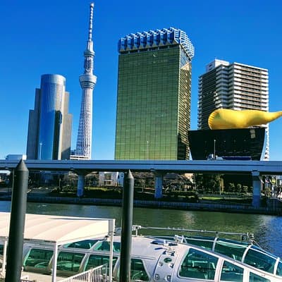 Tokyo Customizable Highlight Tour With A Licensed Private Guide 4