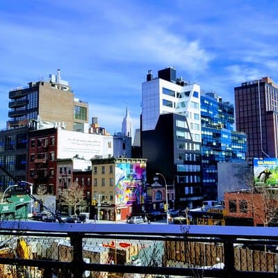 High Line & Hudson Yards Small Group Walking Tour 5