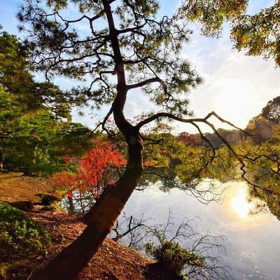 Tokyo Photogenic spots visiting tour 4