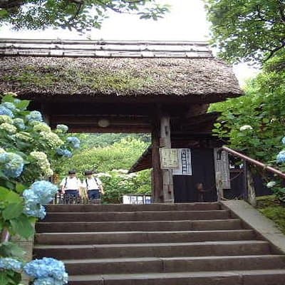 Kamakura All Must-Sees Private Chauffeur Sightseeing with a Driver (Tokyo DEP.) 5