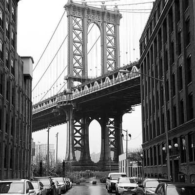 Private Brooklyn Walking Tour: Brooklyn Bridge DUMBO and Brooklyn Heights 5