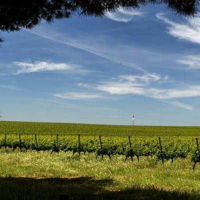 Half Day Private Tour - Evora World Heritage 3