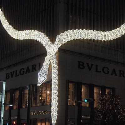 Tokyo Private & Personalized Ginza Shopping Tour with a Local 5