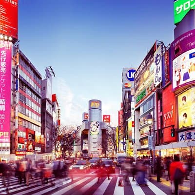 Tokyo Private Transfer from Tokyo central to Haneda Airport (HND) 2