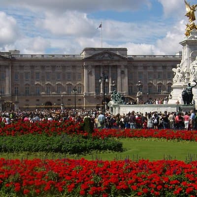 Private Tour London Highlights, entries Westminster Abbey, The Tower of London 3