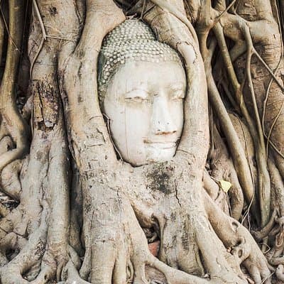 Private Tour: Ayutthaya Day Trip with Boat tour 2