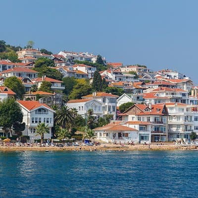 Daily Princes' Island Tour in Istanbul 3