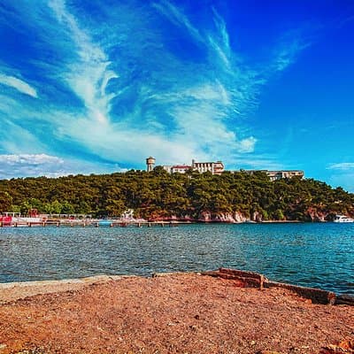 Daily Princes' Island Tour in Istanbul 4
