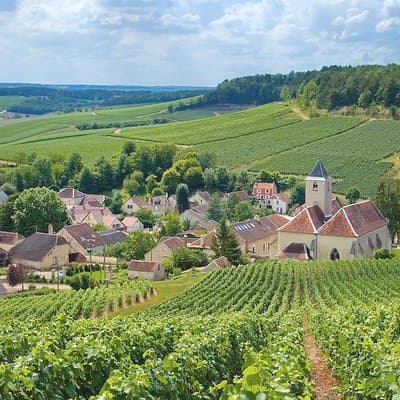 Private Champagne tour from Paris