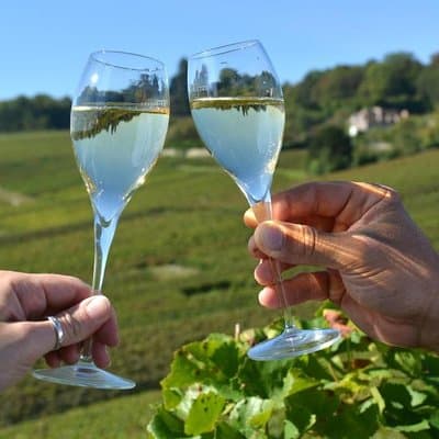 Private Champagne tour from Paris 2