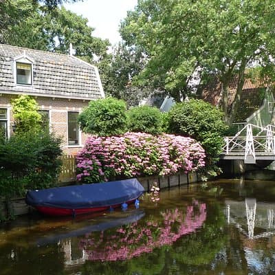 Private Tour Zaanse Schans Windmills and Volendam in Jaguar 3