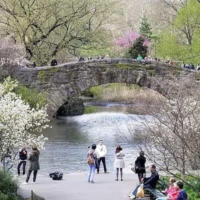 Central Park Secrets And Highlights