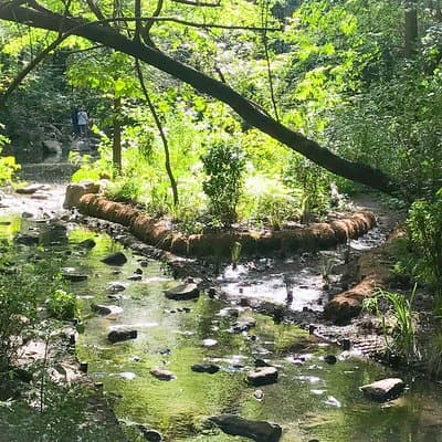 Secret Places of Central Park 4