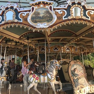 Best of Brooklyn Walking Tour: Historic Bridge, DUMBO & Heights 2