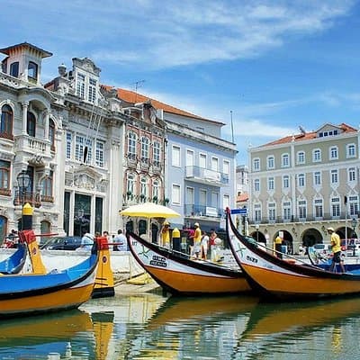 Private Tour: Coimbra (World Heritage) & Aveiro (Little Venice) tour day trip from Lisbon with lunch 3