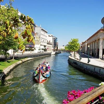 Private Tour: Coimbra (World Heritage) & Aveiro (Little Venice) tour day trip from Lisbon with lunch 5