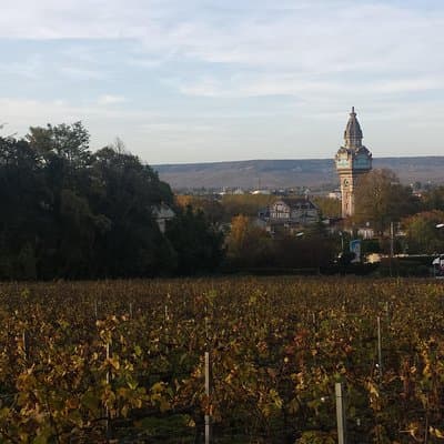 Private Champagne tour from Paris 4