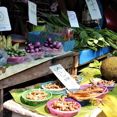 The Original Bicycle Tour in the Green Jungle of Bangkok 5