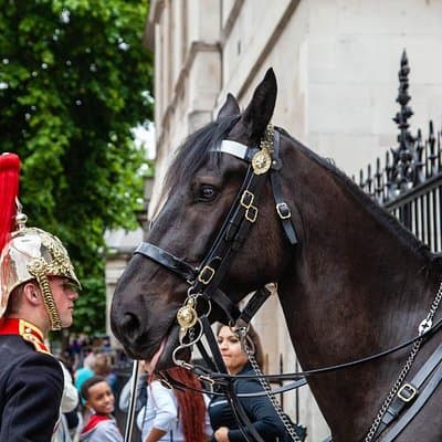London Photography Tour - Private Tour 3