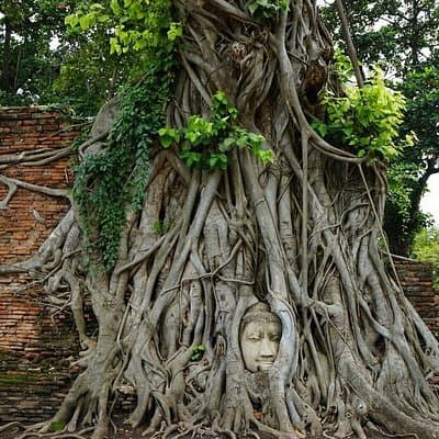 Discover UNESCO World Heritage Sites - Ayutthaya to Khao Yai National Park