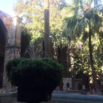 Discover Barcelona’s Gothic Quarter | Private & Semi-Private 5