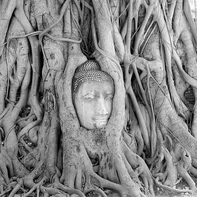 Private Trip : Ayutthaya historical venture, boat ride & lunch 2