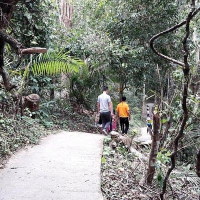 Khao Yai National Park Hiking Day Tour: Haew Narok and Haew Suwat 5