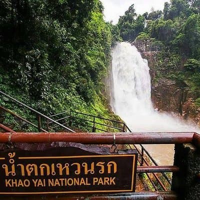 UNESCO World Heritage Site : Khao Yai National Park Tour 2