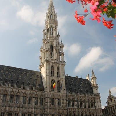 Private Transfer from Amsterdam to Brussels 5