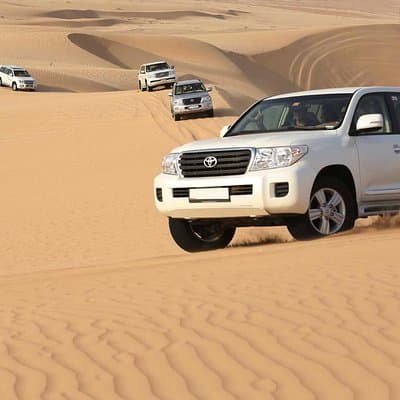 PRIVATE Red Dune Desert Safari, BBQ Dinner, Camel Ride & Falcon Photo 3