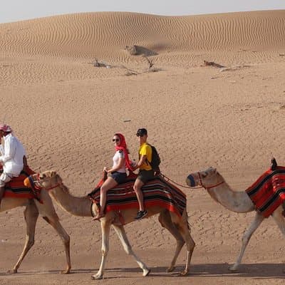 Dubai Desert Safari, Camel Ride, Refreshment & Quad Bike Option 2