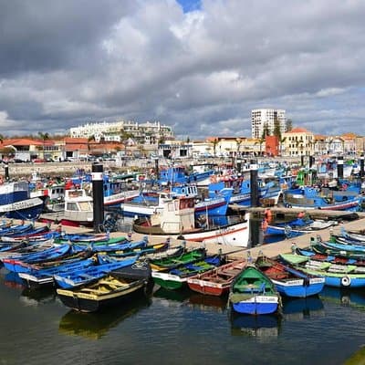 “Private Tour – Cristo Rei, Palmela, Setúbal, Arrábida & Sesimbra 4
