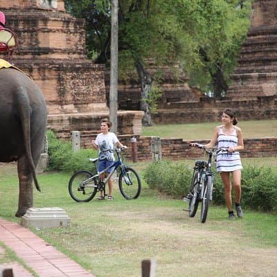 Colors of Ayutthaya Full-Day Bike Tour 4