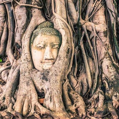 Private Tour: Ayutthaya Temples, Ruins and Lunch on River Cruise 2