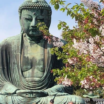 Historic Kamakura: Temples, Shrines and Street Food Private Walking Tour