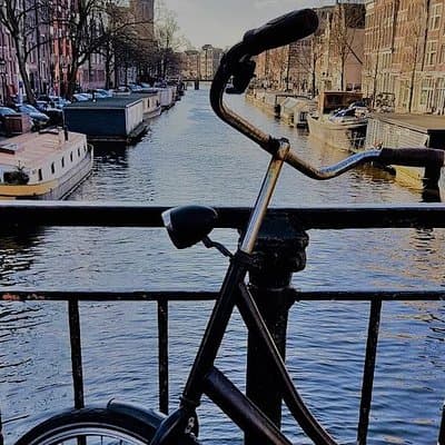 Amsterdam City & Countryside Tour: The Best of both Worlds 3