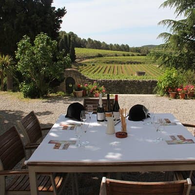 Wine & Cava Penedes Tour: Wineries, Wine Tasting and Tapas 5