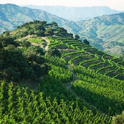 WINE TOUR PRIORAT: Visit 2 Top Wineries, Wine Tasting & Gourmet Lunch 3