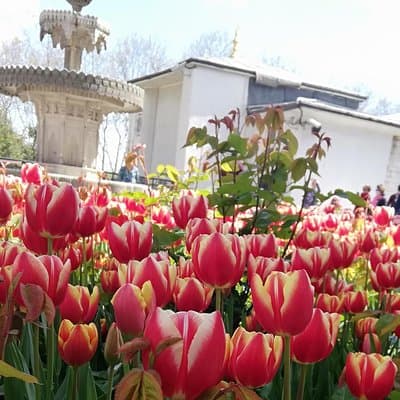 Most famous sites of Istanbul 2