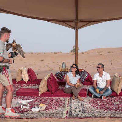 Dubai: Private Falconry Experience & Platinum Breakfast 2
