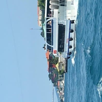 Bosphorus Cruise With Dolmabahçe Palace and Fortresses 2