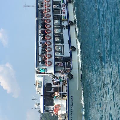 Bosphorus Cruise With Dolmabahçe Palace and Fortresses 3